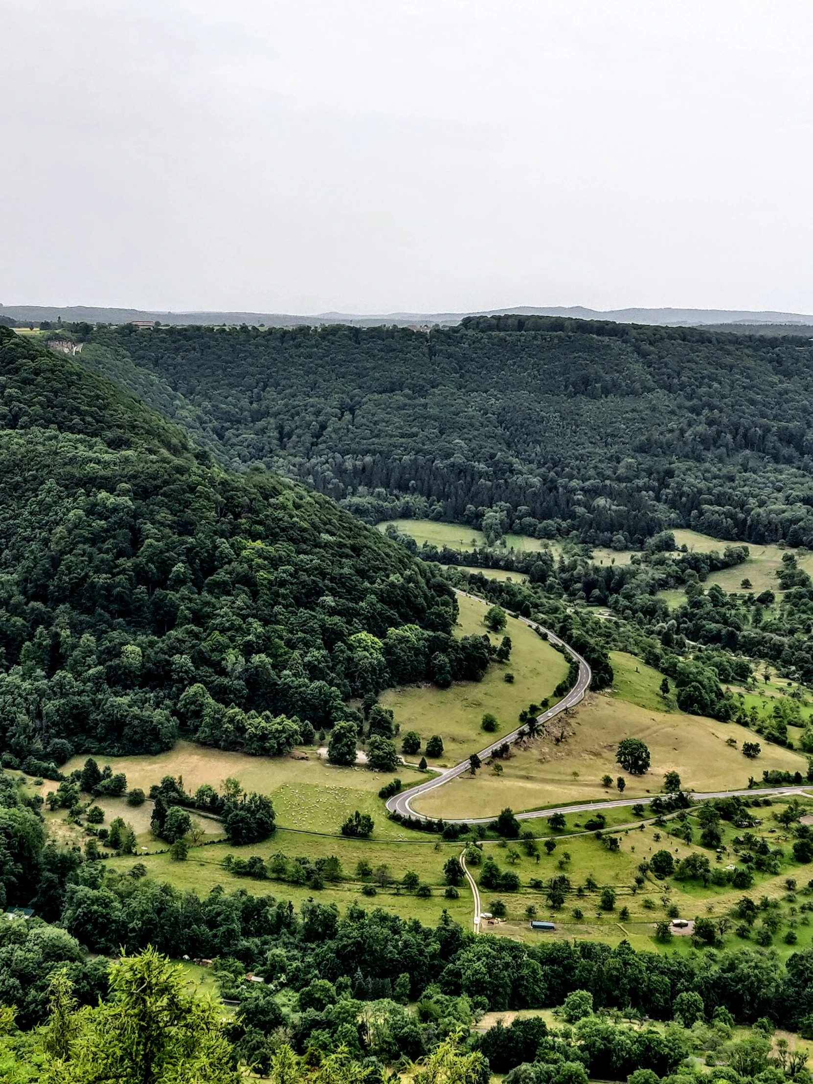 a field with trees on the side and hillside