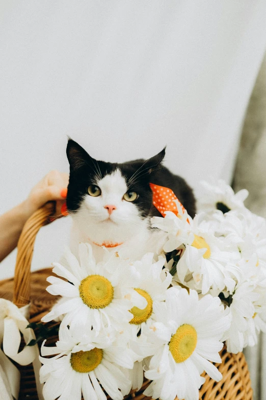 a person holding up a basket with white flowers