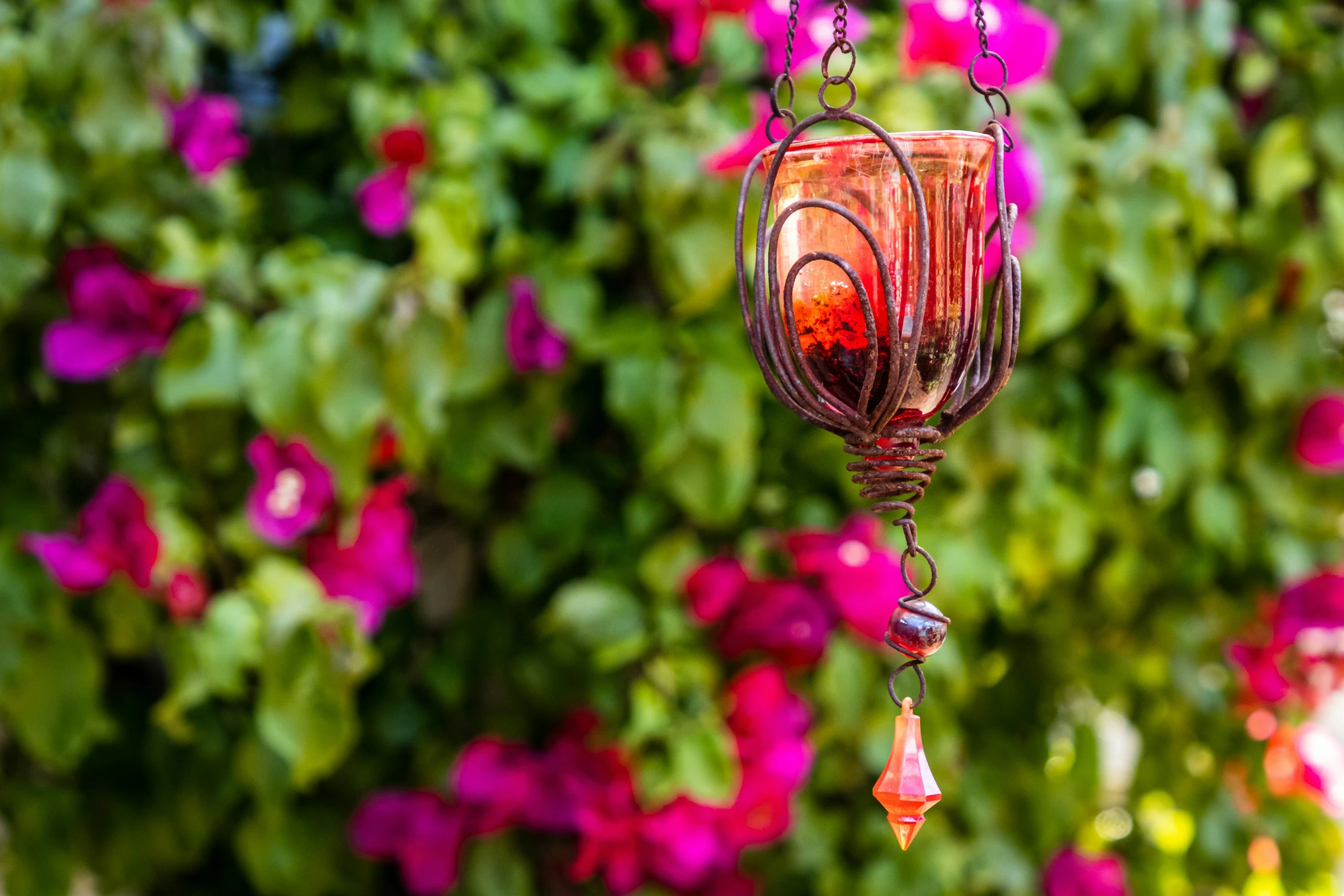 a humming feeder is hanging from a tree