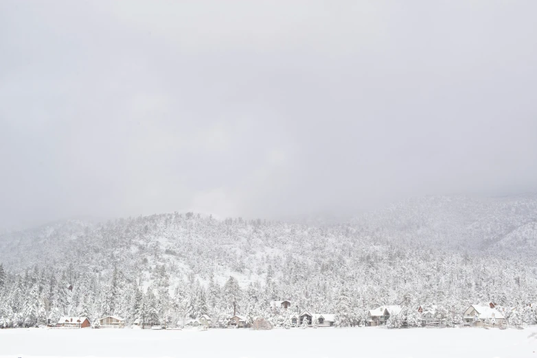 a hill is shown with snowy trees in the foreground