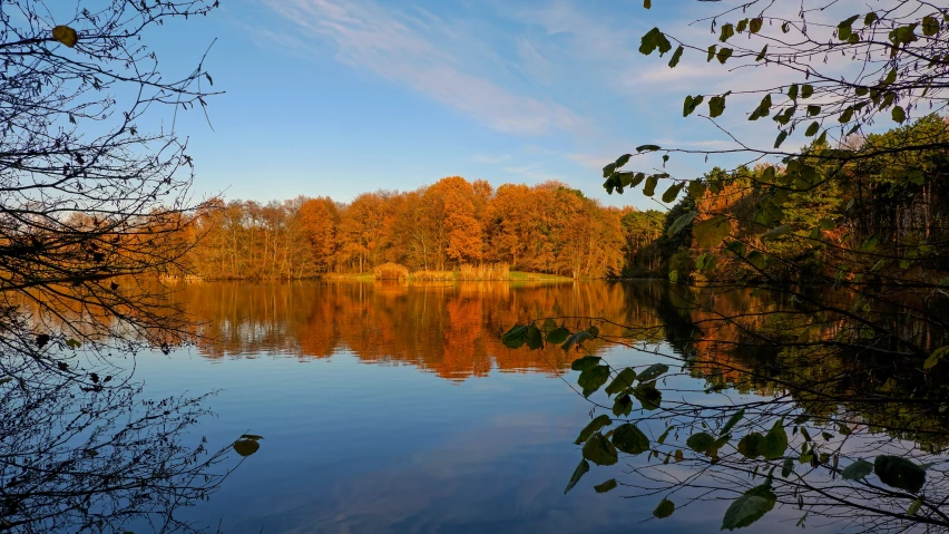 the sun shining on a lake reflecting leaves and trees