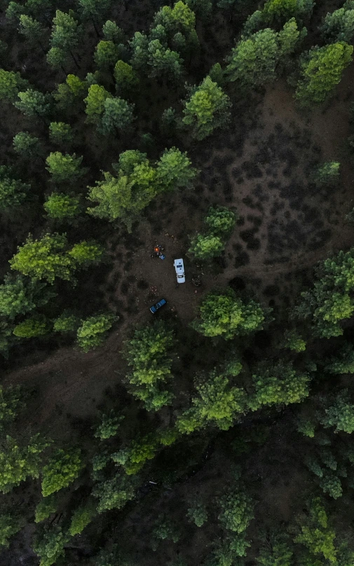 an aerial view of a forest with a car parked by