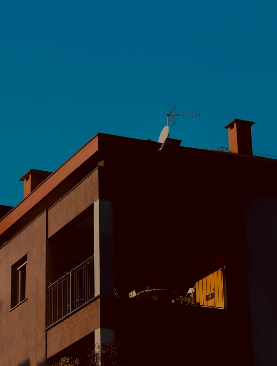 a house and some birds on the roof