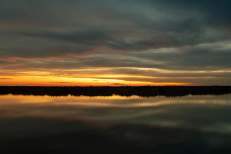 a lake with water surrounded by lots of grass