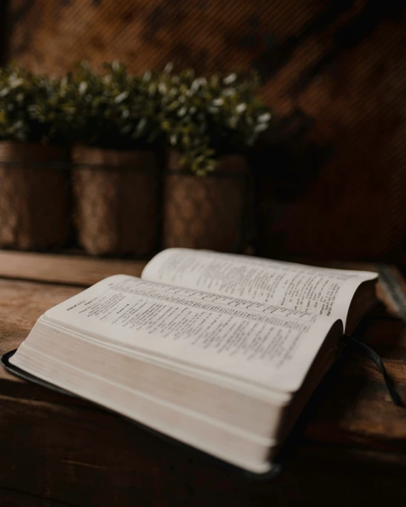 an open book on a table in a room with plants