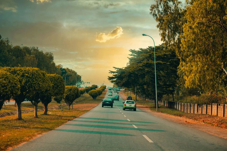 a quiet street with cars parked next to trees on the side