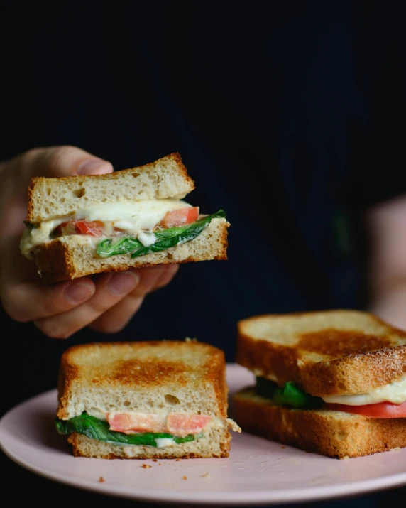 there is a sandwich with two pieces of bread