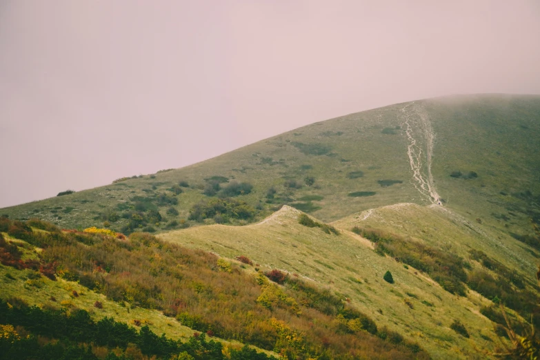 a hill with lots of grass on it