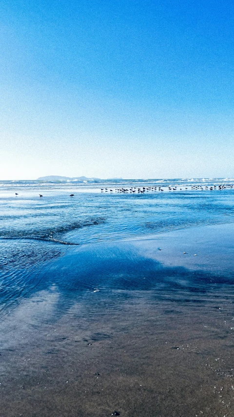 the view from beach at low tide on a sunny day