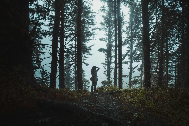 a lone man standing in the forest by himself