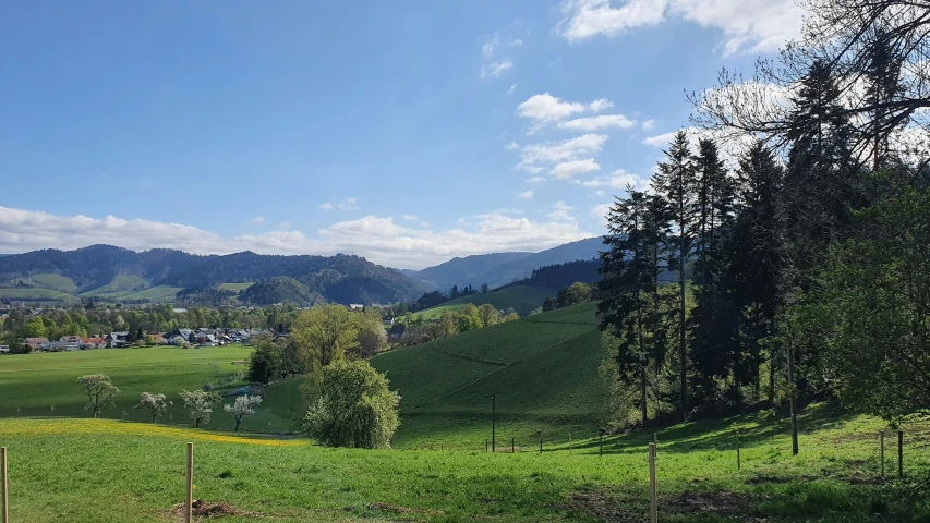 a grassy hillside with lots of trees next to it