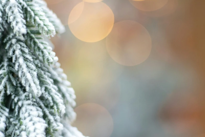 a tree is covered with snow and sitting next to a blurred background