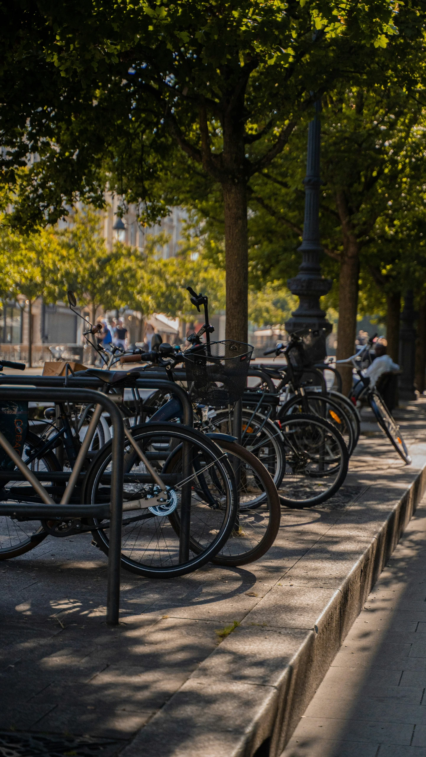 bikes are parked along the curb next to a street lamp