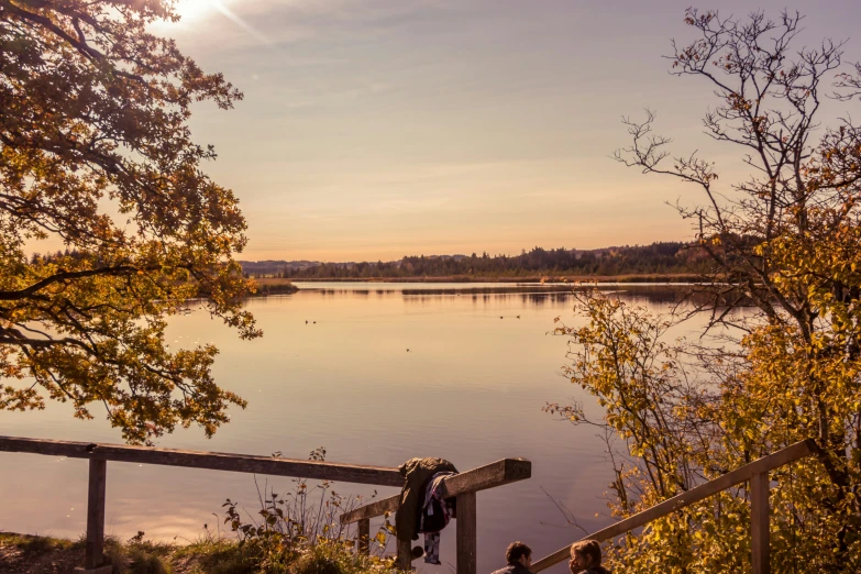 a view of a lake and trees with a sign hanging on it