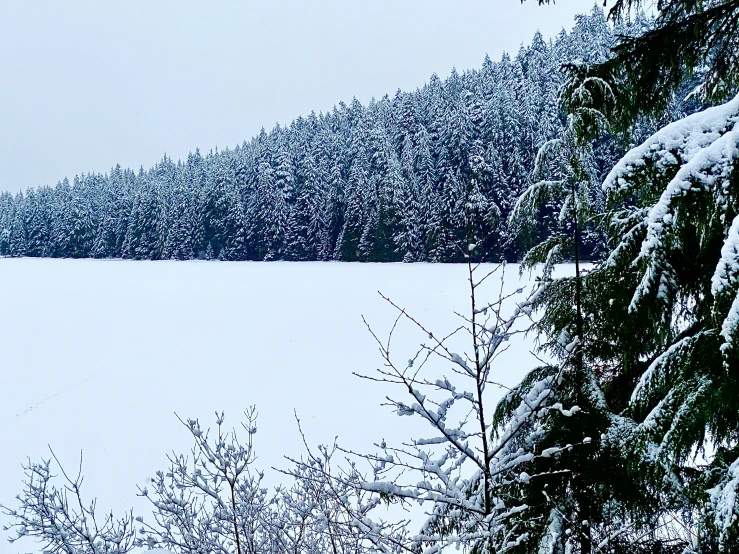 snow covers the landscape around a small lake in the woods