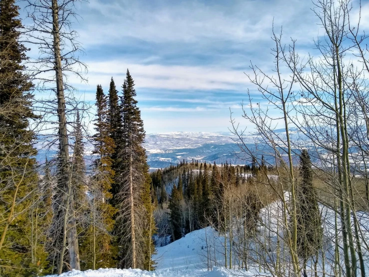 a snowy mountain area with trees and a bench