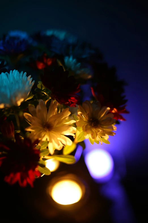 a lit vase with different colored flowers