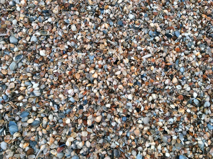 several pebbles are on the ground together