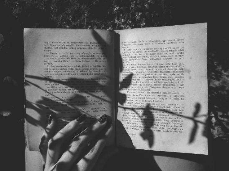 a person holds an open book with the pages missing