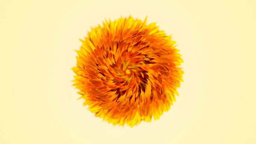 an orange flower is being blown by the wind