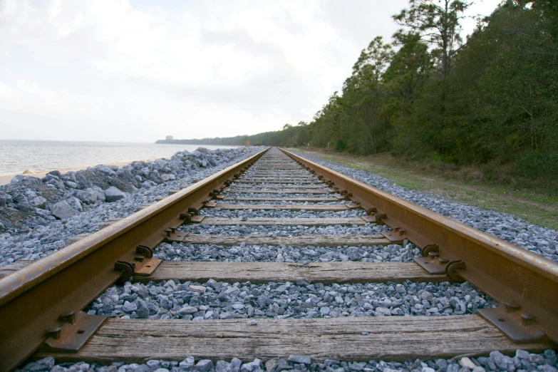 a long train track next to a lake in the woods