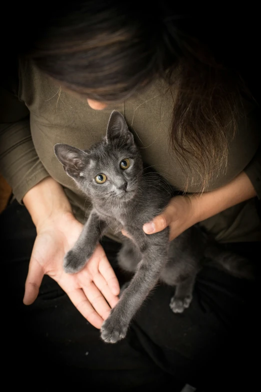 a cat is being held by a woman