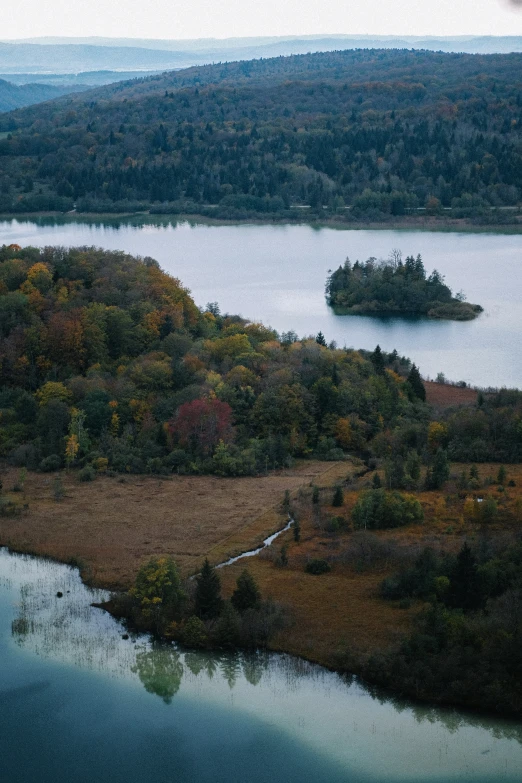 aerial view of large lake surrounded by forest