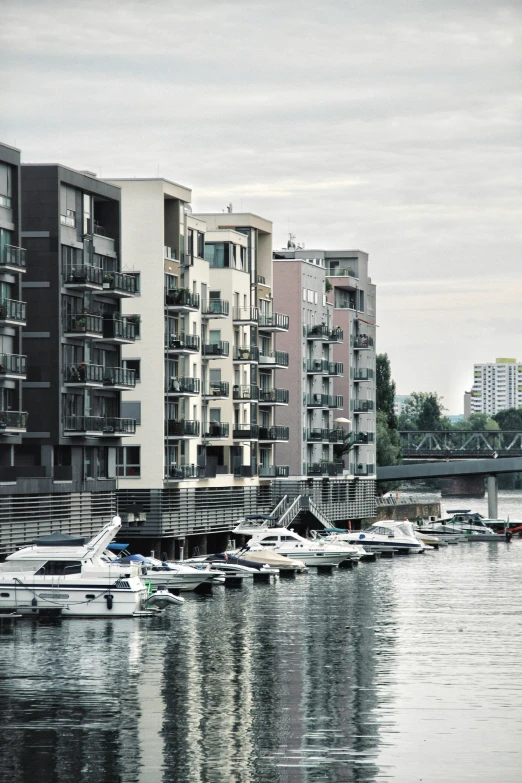 several boats are docked on a body of water