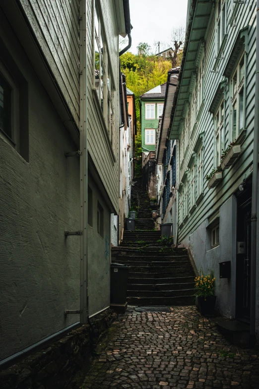 stairs in alley way near houses on steep hill