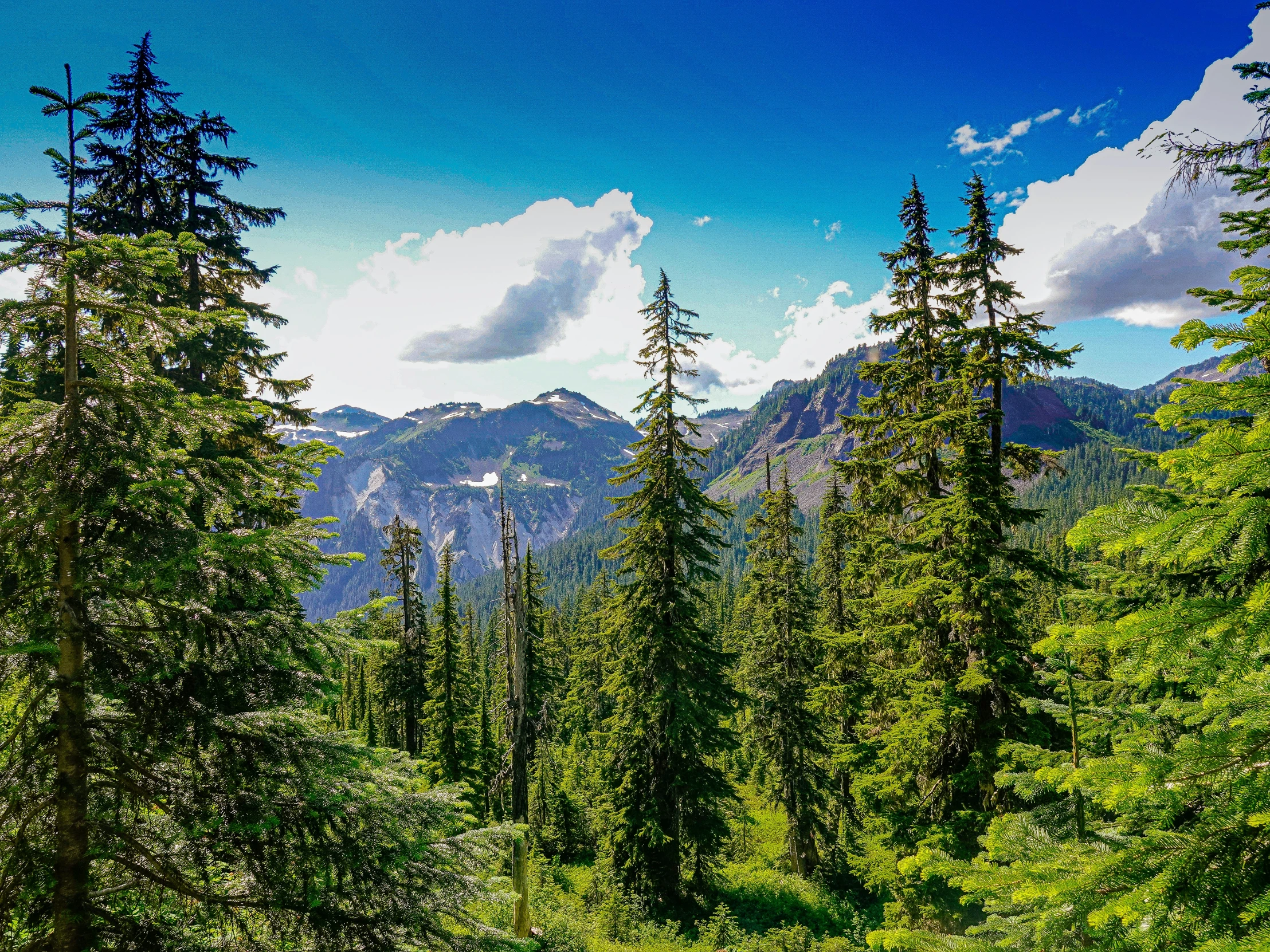 the sun is shining on trees and hills