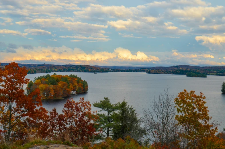 a body of water surrounded by trees in the fall