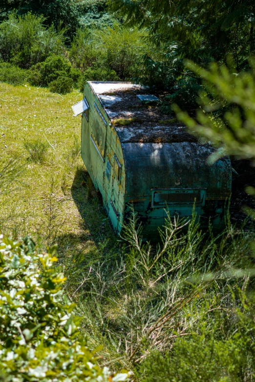 a beehive in the middle of green grassy area