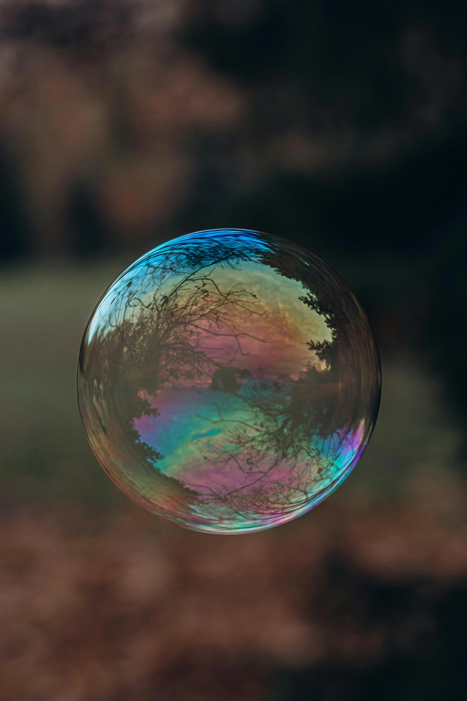 a large, colorful bubble hanging from the ceiling