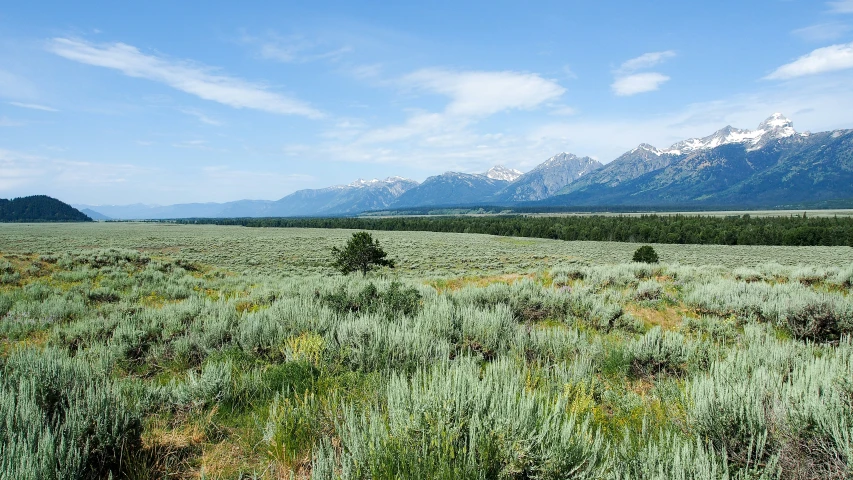 a large open grass field with mountains in the background