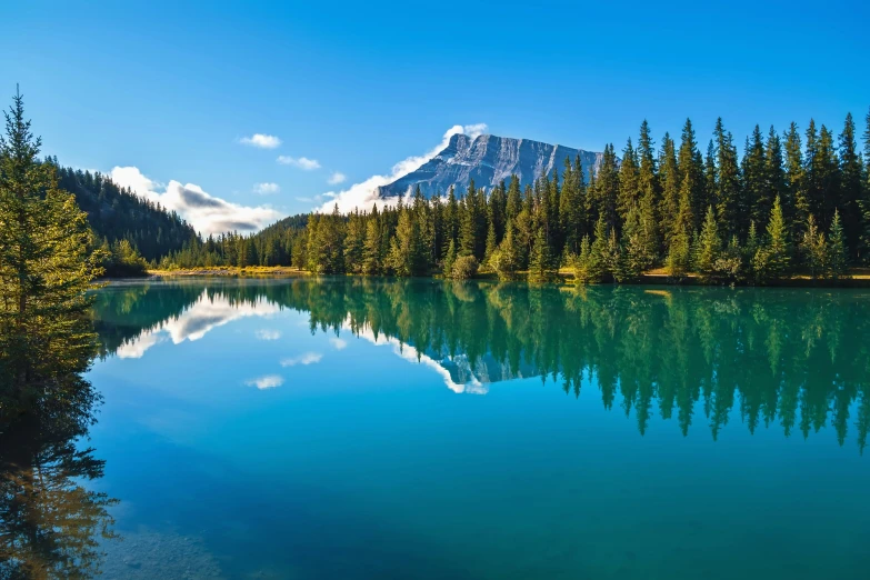 a lake near the woods with a mountain in the background