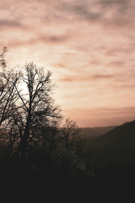 the sky in front of some trees with no leaves