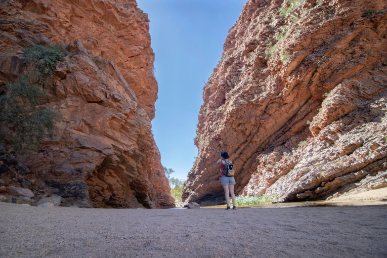 a woman with a backpack standing next to a big canyon