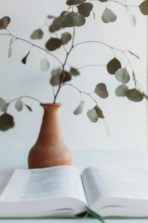 a book sitting next to an open vase