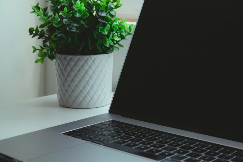 the plant is sitting next to the laptop on the desk