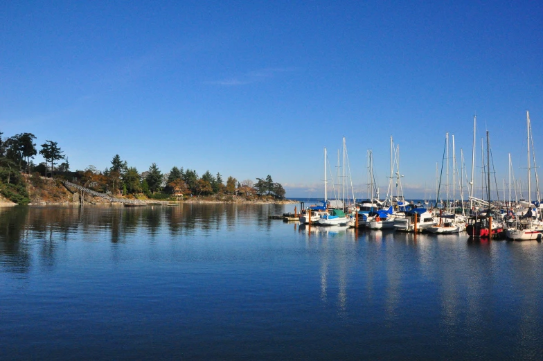 there are several boats lined up in a row