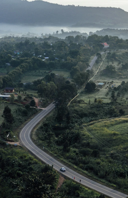 a two lane road passing between the forest