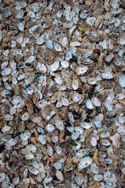 a ground with sea glass stones and other small objects