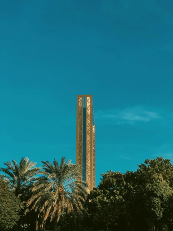 the big clock tower rises above some palm trees