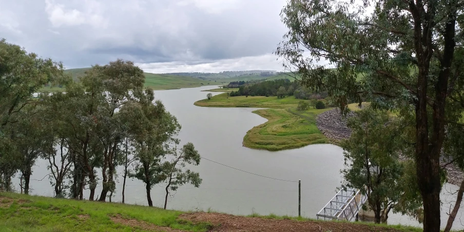 a large body of water with lots of trees