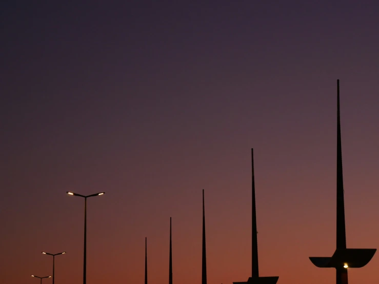 tall, slender trees in silhouette at sunset