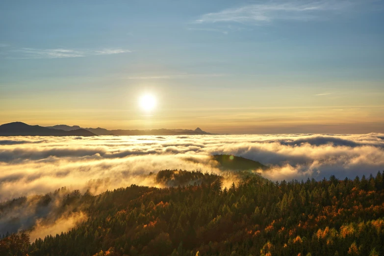 the sun is shining above the forest as clouds drift in