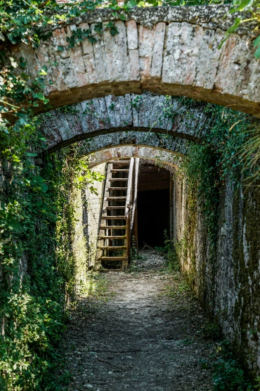 a path under an archway is blocked by ivy