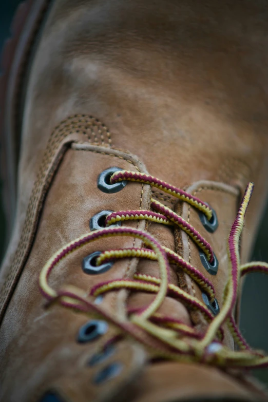 the side of a pair of shoes with laces all around