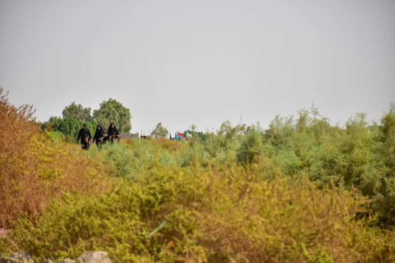 the group of people are standing on a hillside