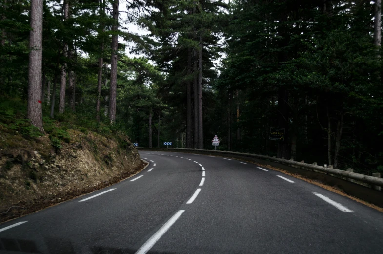 a curved road near some tall trees near an empty road